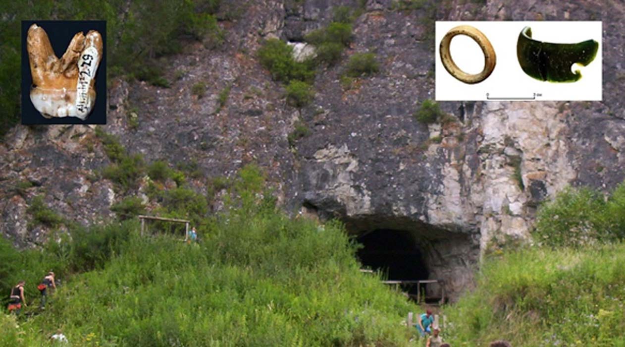 The Denisova Cave in the Altai Krai region of southern Siberia. Here over the last decade archaeologists have uncovered anatomical evidence of a previously unknown hominin today known as the Denisovans. Inset, left, one of the two huge Denisovan molars found in the cave’s layer 11 and, right, one of the pierced ostrich eggshell beads along with the fragment of choritolite bracelet found in the same layer of archaeological activity The Denisova Cave in the Altai Krai region of southern Siberia. Here over the last decade archaeologists have uncovered anatomical evidence of a previously unknown hominin today known as the Denisovans. Inset, left, one of the two huge Denisovan molars found in the cave’s layer 11 and, right, one of the pierced ostrich eggshell beads along with the fragment of choritolite bracelet found in the same layer of archaeological activity