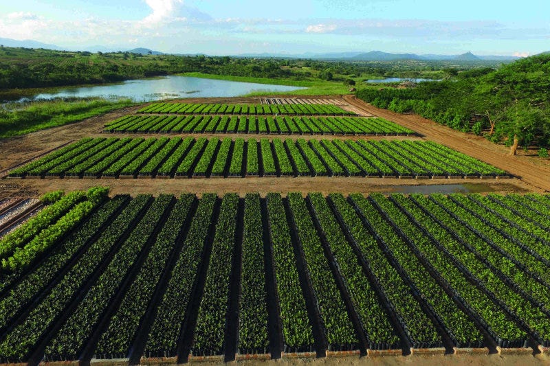 BII and ILX complete first joint debt transaction in East Africa