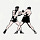 Fight Study
