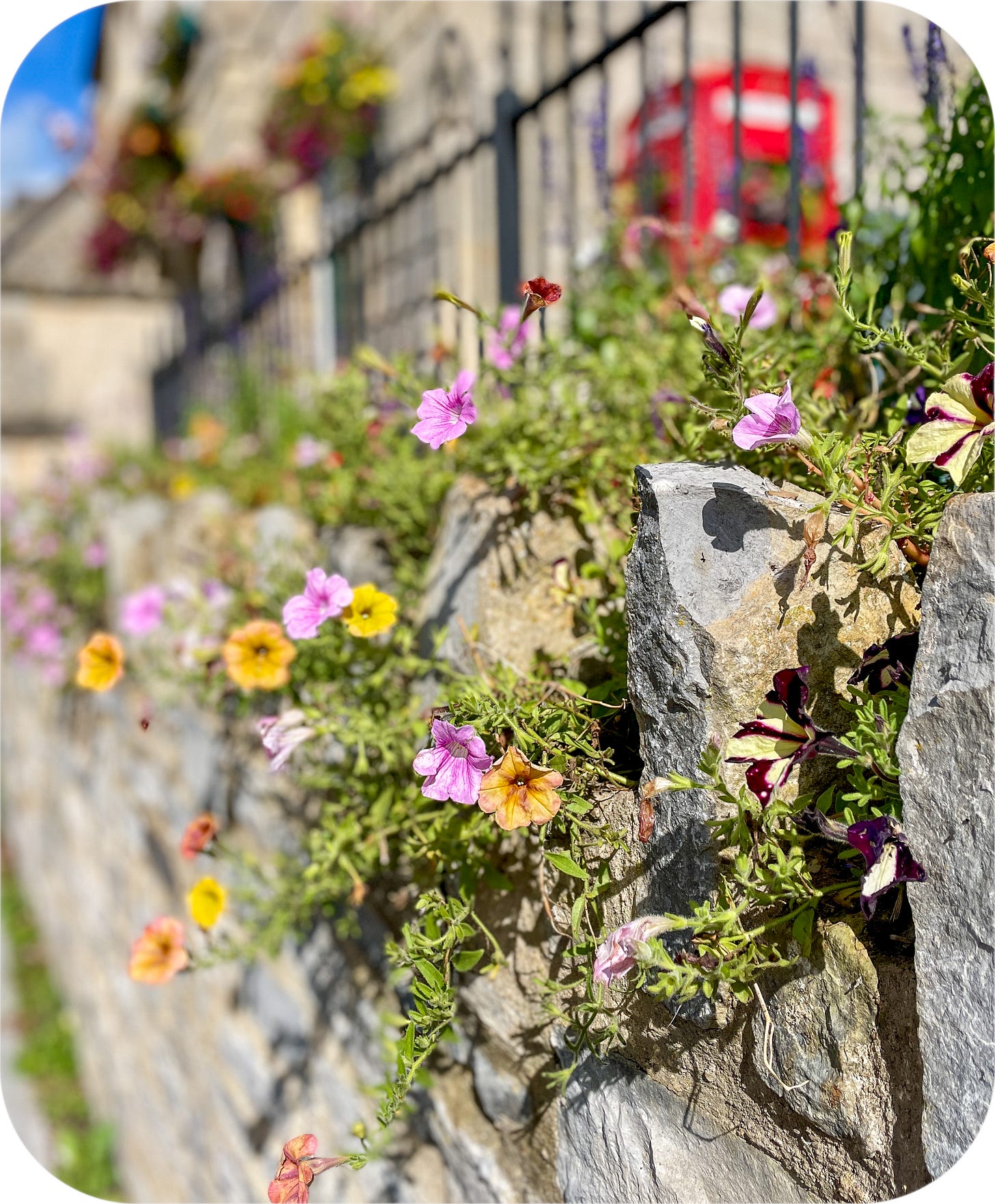 The town of Glastonbury