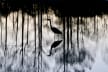John-Henry Doucette
