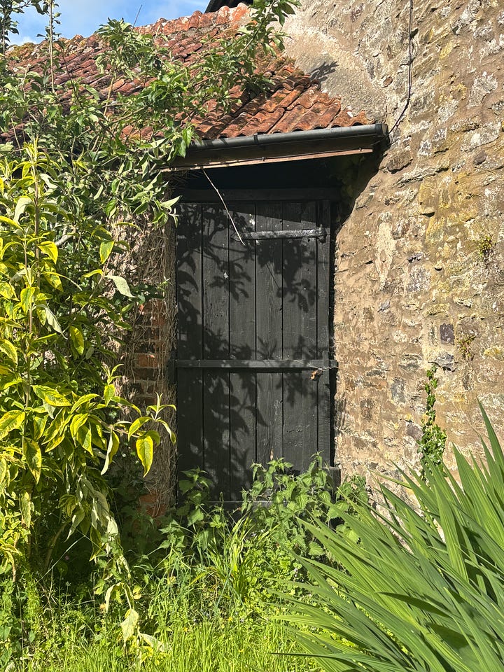 Photo and watercolour painting comparison of a door with the shadow os of leaves on it