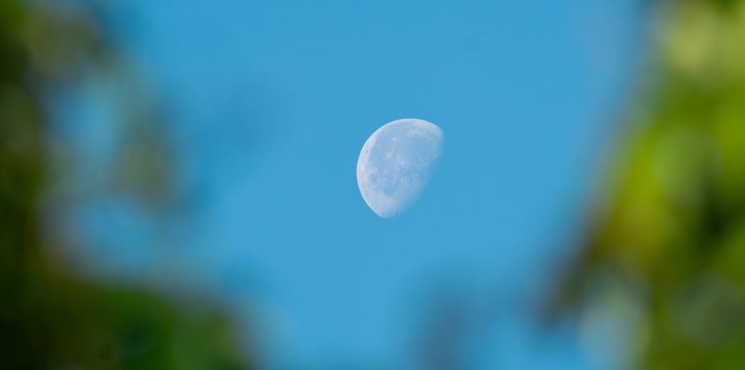 a view of the moon through the trees