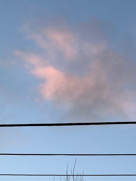 (from left to right): A selfie of me with sun on my face; a plant shop; Steve making music at our dining room table; pink clouds and powerlines; a fresh bag of Mother Tongue Coffee; an abstract sculpture; a selfie of me wearing my Nepheline blouse; desserts from Lokanta; another corner of my home  
