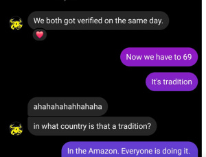 A Freudian Field Day: Leaked DMs expose a wild psychosexual saga between “bully hunters” James McGibney and Danesh Noshirvan - #COCKS chaos!