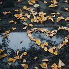 all about (lacking) love