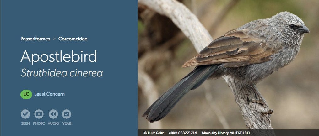 The 100 Greatest Bird Names of All Time - by Robert Francis