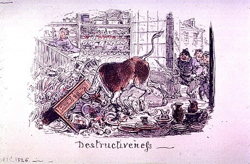 Bull destroys china shop