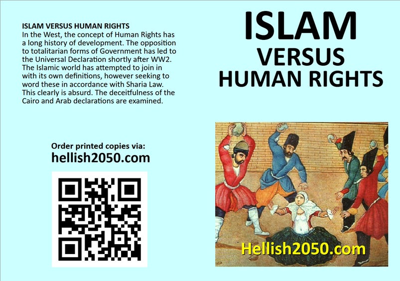 The Hierarchy of Human Rights - Hellish 2050