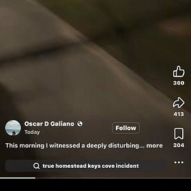 Rooster Shooting Near Bayview Park Sparks Outrage, Arrest Warrant Issued 