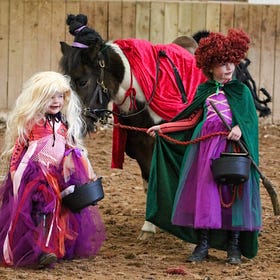 Hallowe’en Spook-tacular brings fun to Knockagh View