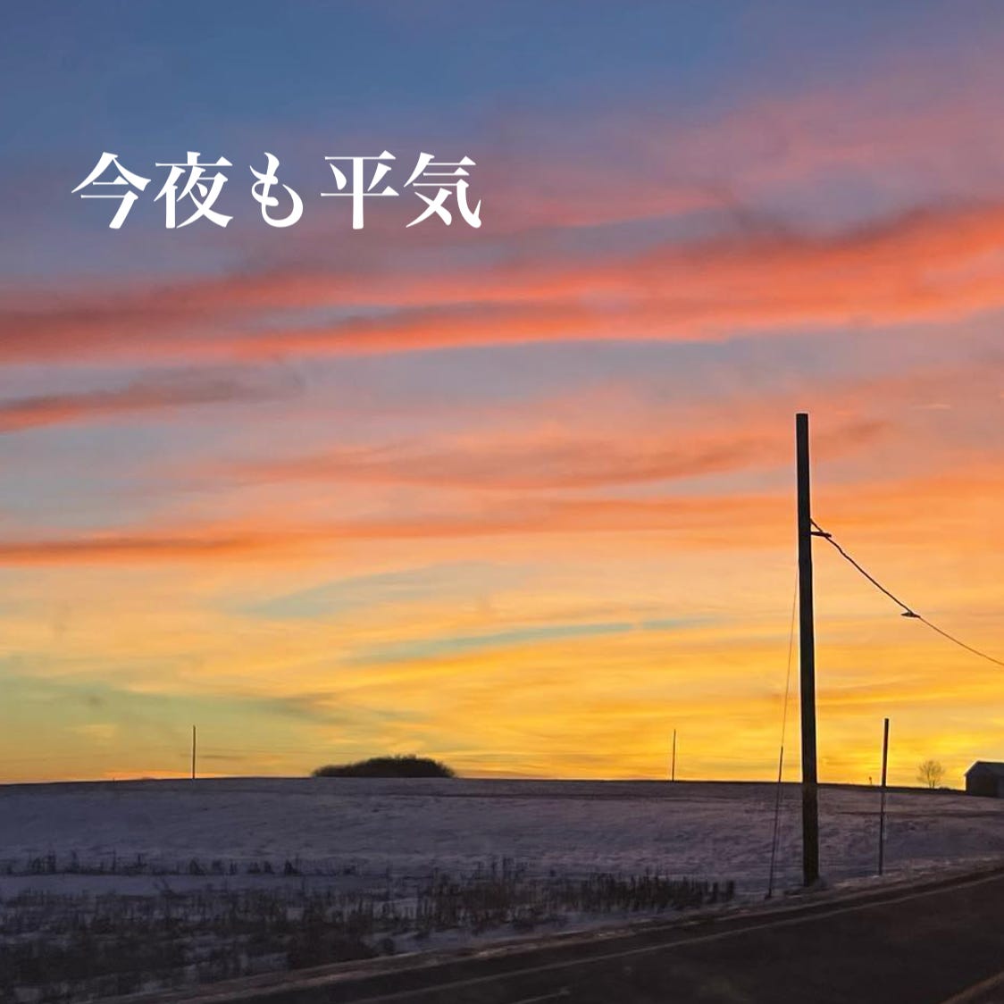 今夜も平気  logo