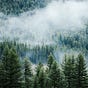 Gallatin Nature Society's avatar