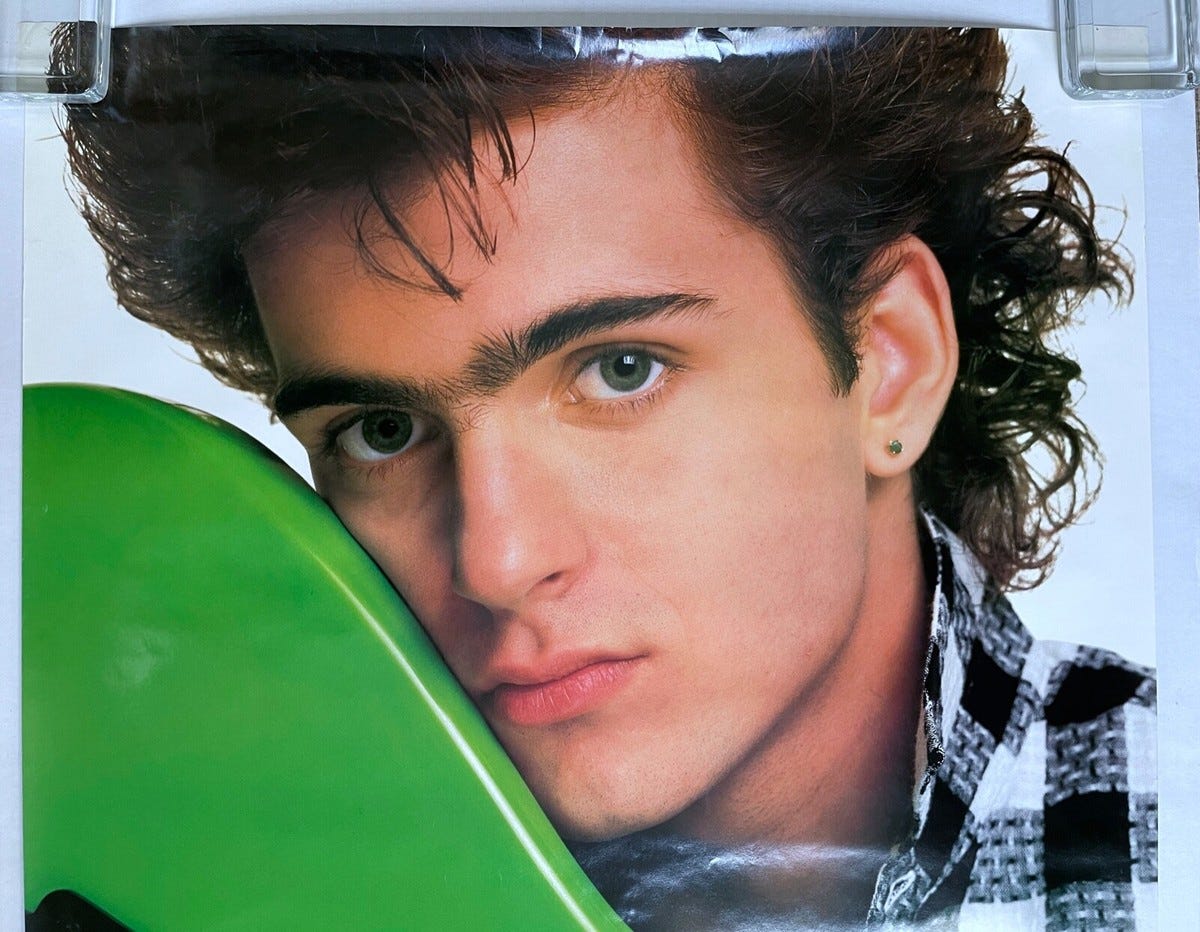 DWEEZIL ZAPPA Havin' A Bad Day 1986 US ORG Barking Pumpkin PROMO POSTER  Frank | eBay