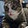 Jenny M's avatar