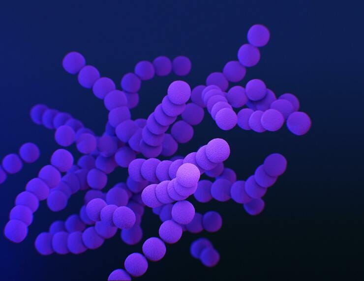 Bacteria: an example of natural self-organisation