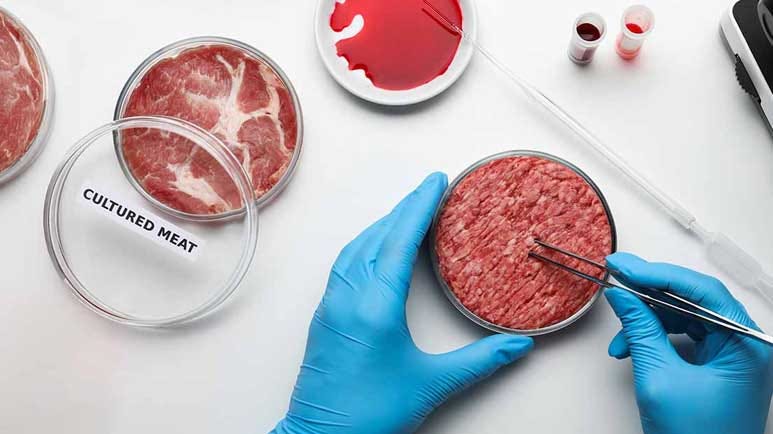 cell cultured meat regulations