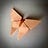 Folded Papers