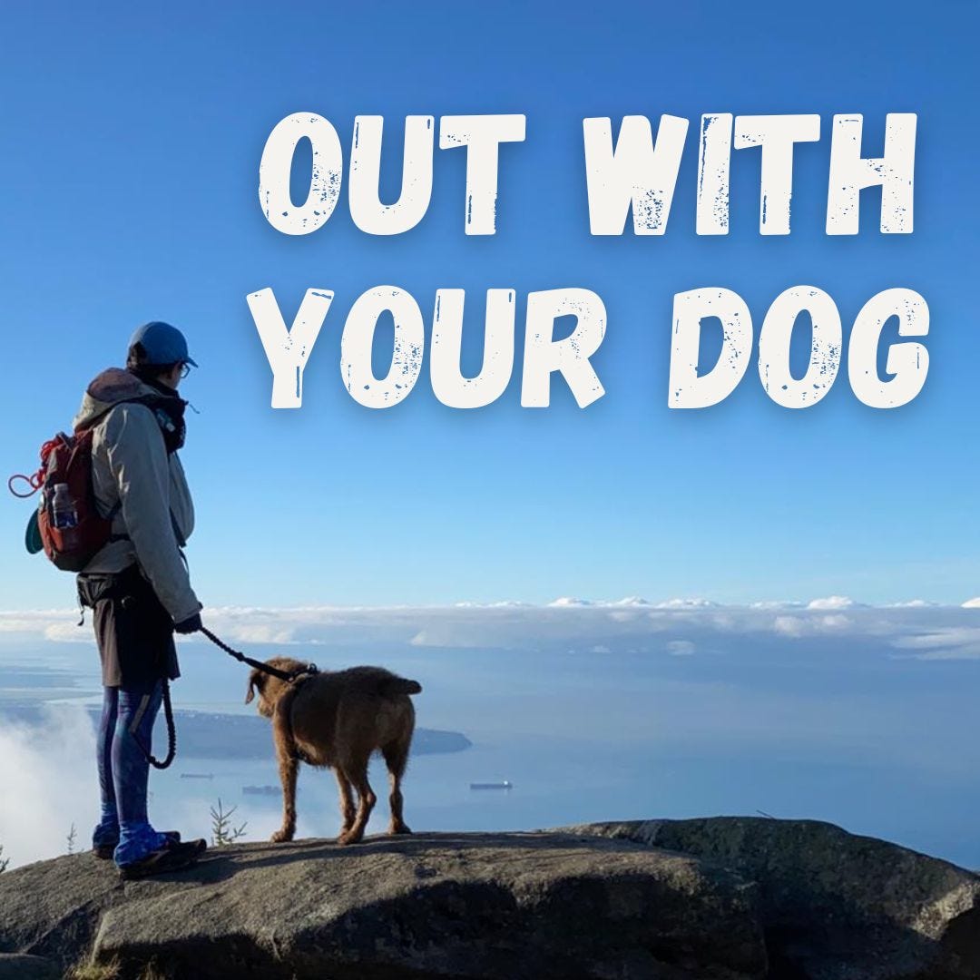 Out With Your Dog logo