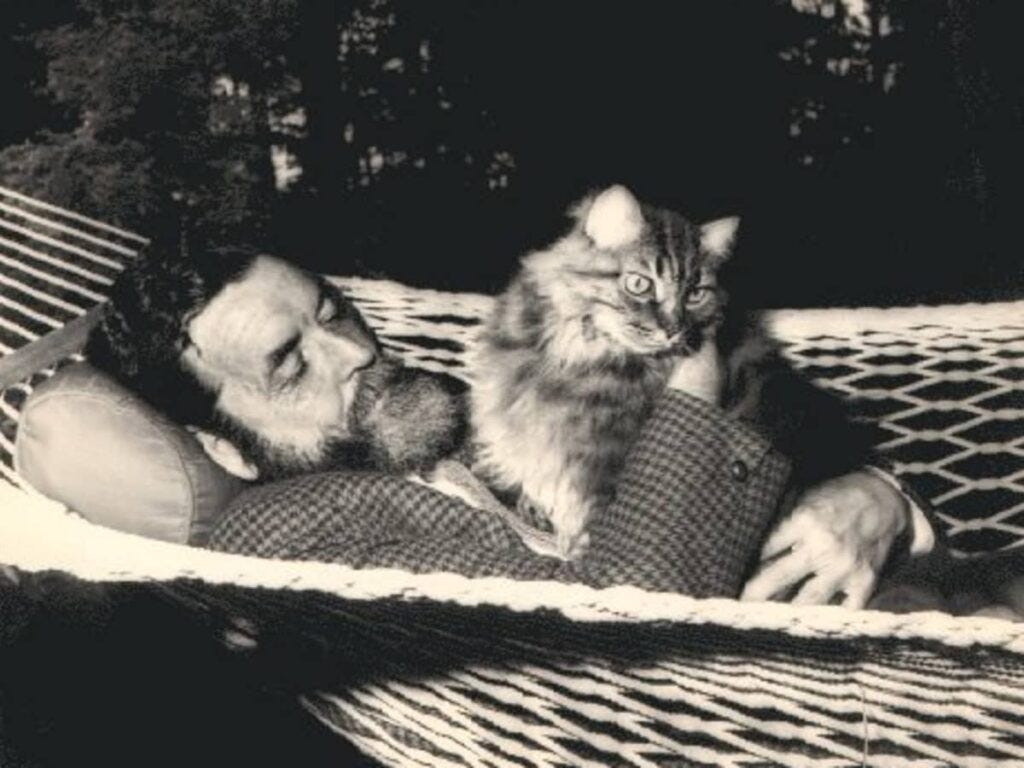 No other book”: Randall Jarrell's criticism | The New Criterion