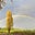 Kristof Farms's avatar
