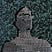 Maxwell's avatar