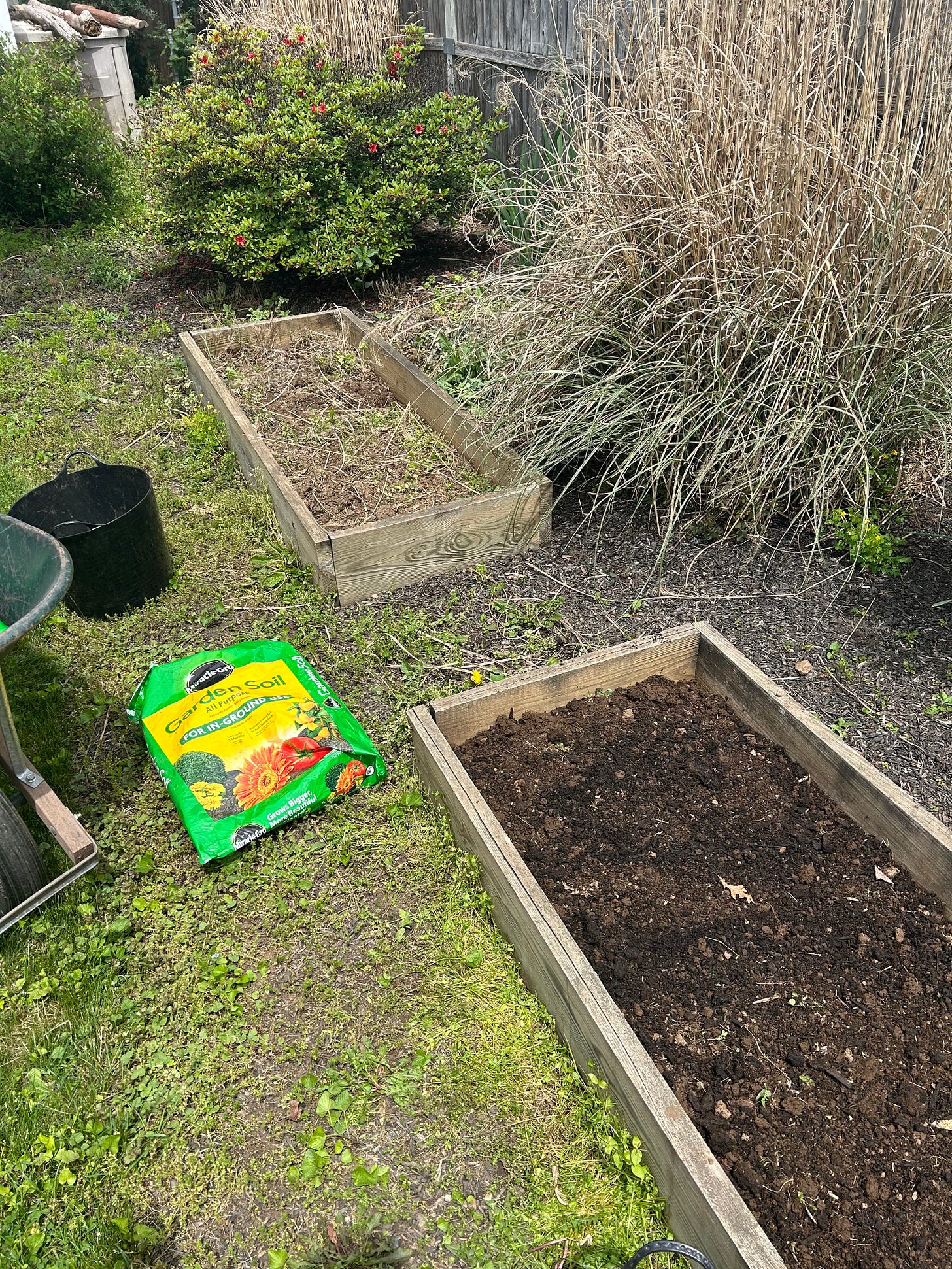 two rectangular raised garden beds, one filled with dark brown soil and the other overgrown with weeds
