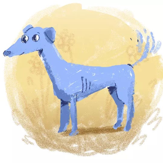 Danielle’s Substack