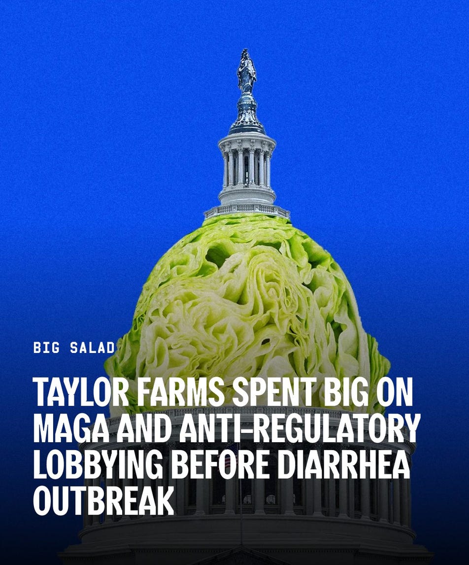 Graphic design showing hte Capitol Building with a lettuce base, and the category for the article Big Salad Graphic design showing hte Capitol Building with a lettuce base, and the category for the article Big Salad