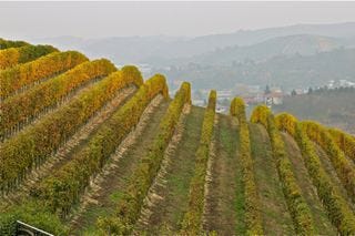 Malvira – Countryside wide shot 2 Malvira – Countryside wide shot 2