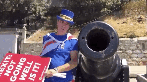 GIPHY News GIF GIPHY News GIF