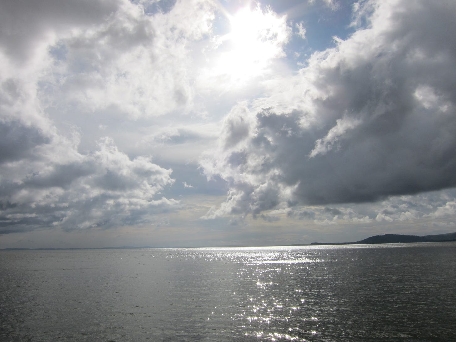 IMG_3954 IMG_3954