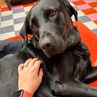 I’ve been streaking!