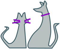 Autistic cat and lovable dog