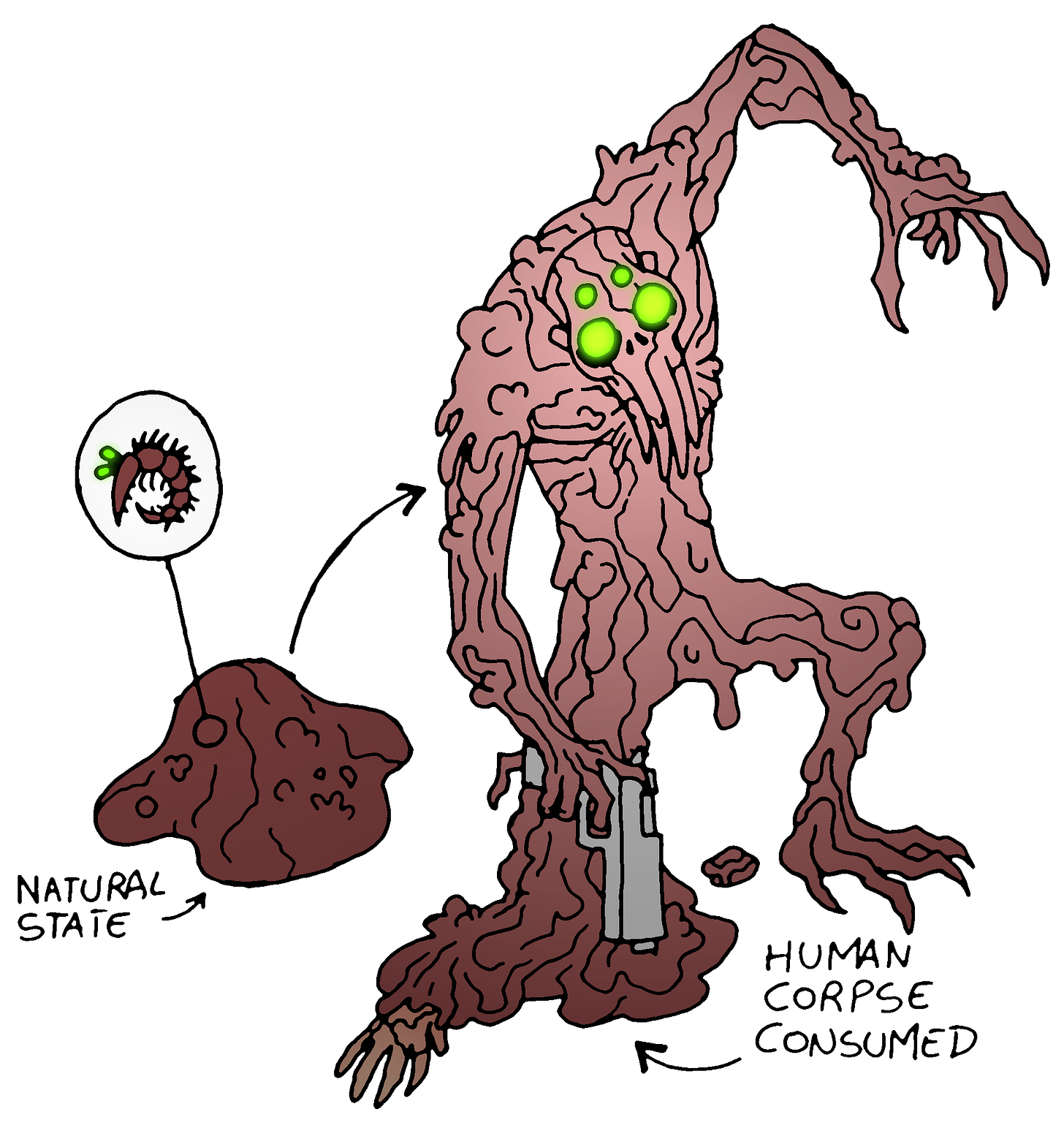 The illustration of a grotesque alien-like creature. On the left, a small blob of fleshy matter is labeled “Natural State,” with an inset showing a wormlike, toothed organism. On the right, the same creature has consumed a human corpse, transforming into a tall, humanoid shape made of writhing pink flesh, with glowing green eyes, elongated claws, and a gun clutched in one hand.