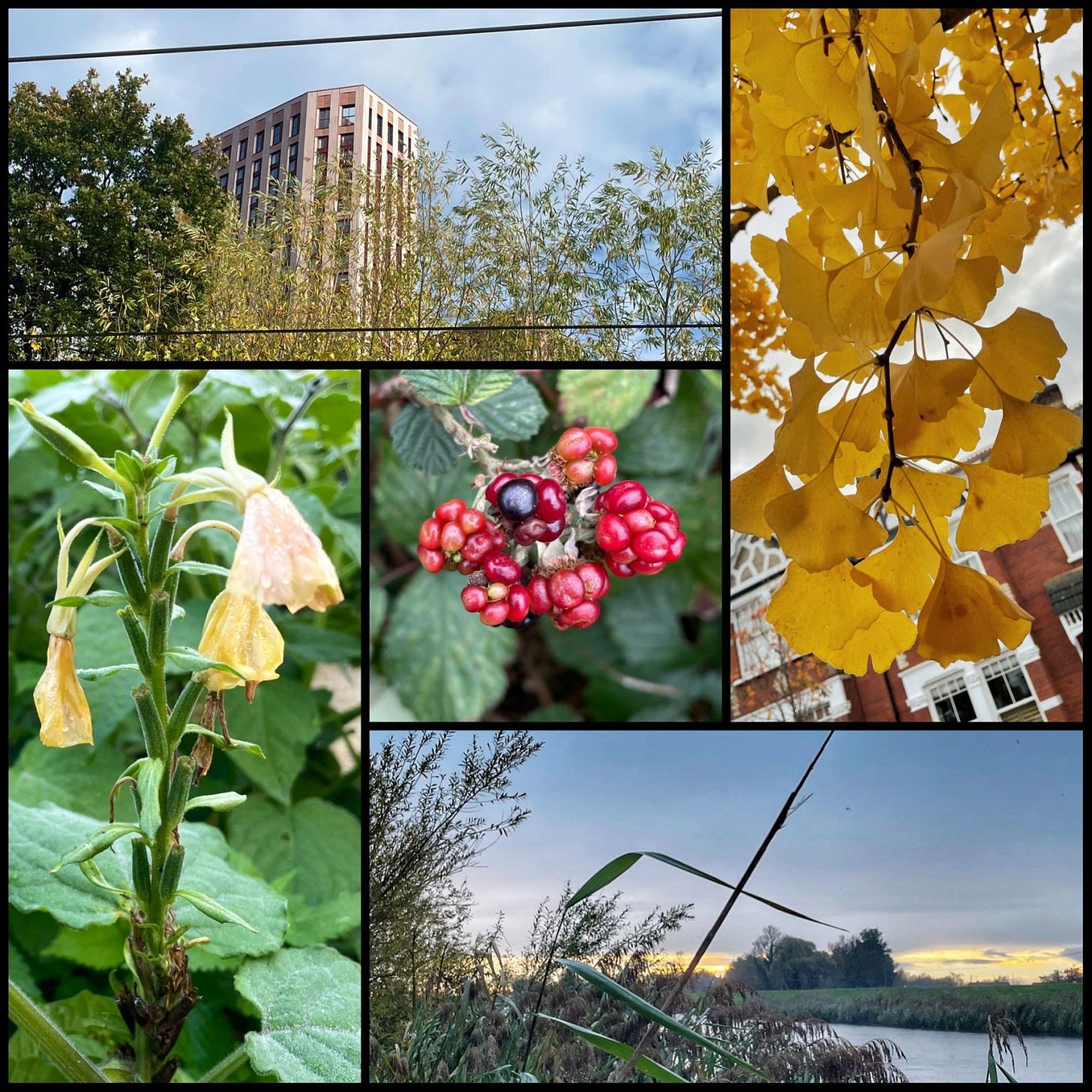 No alternative text description for this image