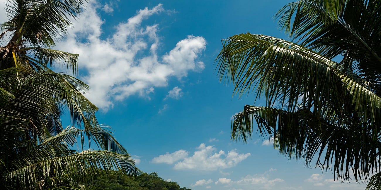 I Sold My Life for $1 and Moved to an Island