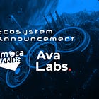 Ava Labs Announces Animoca Brands as Strategic Partner for Asia and Middle East Expansion