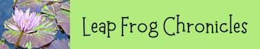 Leap Frog Chronicles