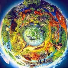Season of Creation - A Prayer - EasyBlog - JPIC Blog- Marist fathers
