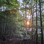Duane Outdoors's avatar