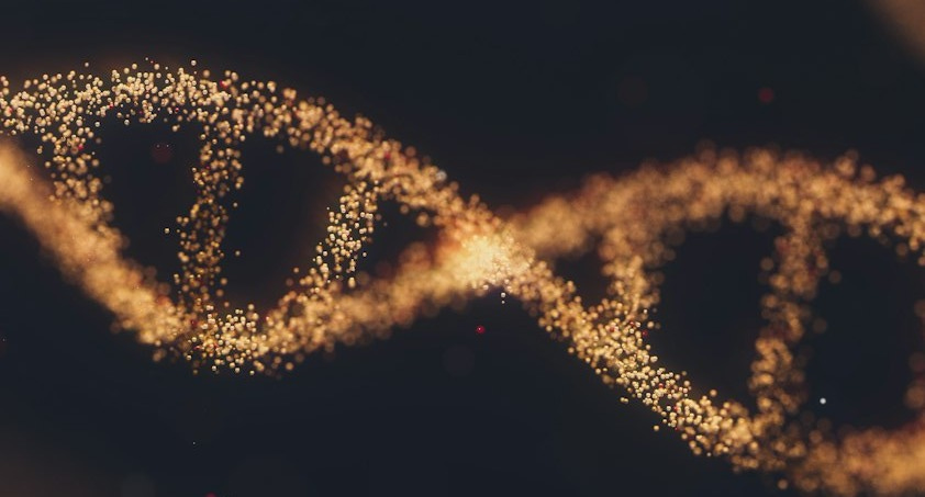 a close up of a double strand of gold glitter