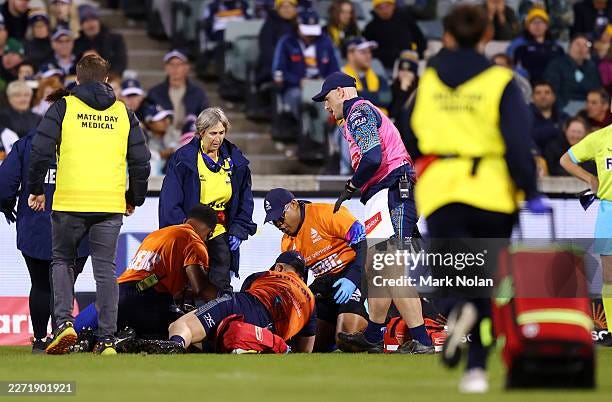 74 Fotos und hochauflösende Bilder - Getty Images
