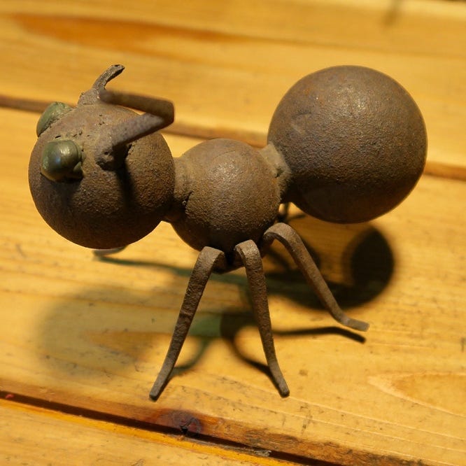 A close up of a bug
Description automatically generated with medium confidence A close up of a bug
Description automatically generated with medium confidence