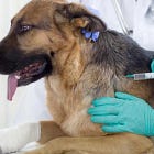 Όταν η «Aπόδειξη» Δεν Είναι Απόδειξη