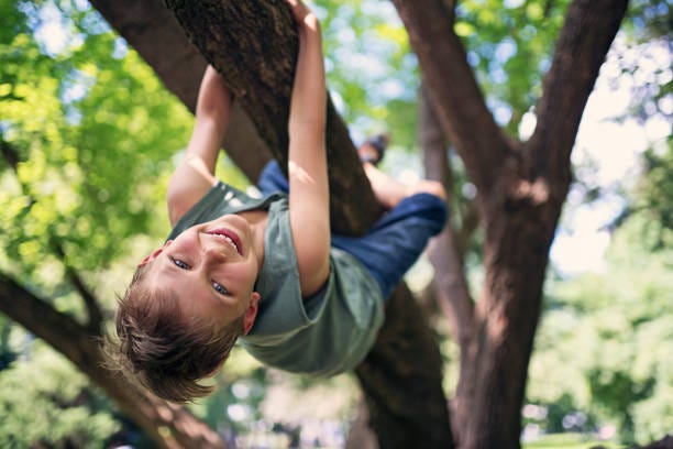 17,600+ Kids Climbing Tree Stock Photos, Pictures & Royalty-Free Images ...