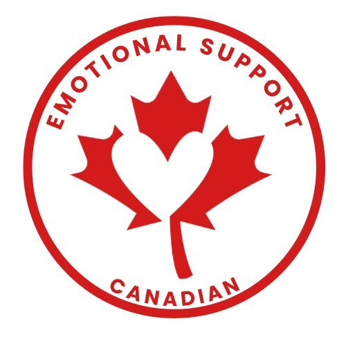 Artwork for The Nasty Canadian