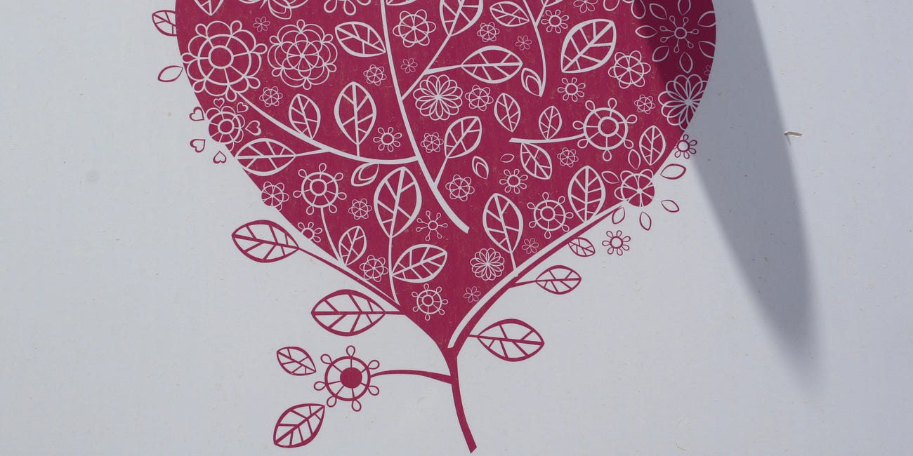 To Be Born Again is To Be Transformed Into a New Creation