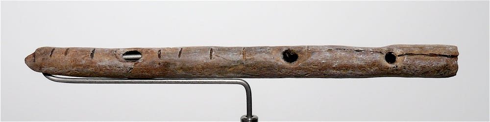 Paleolithic flutes - Wikipedia Paleolithic flutes - Wikipedia
