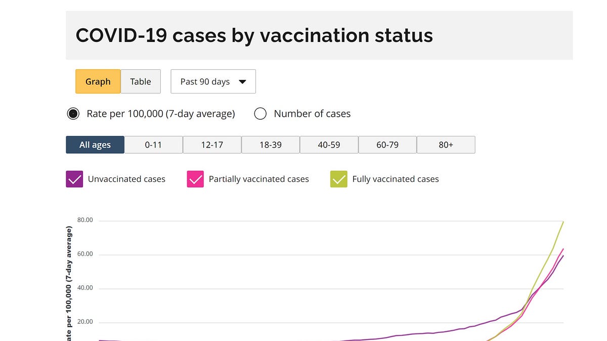 boriquagato.substack.com